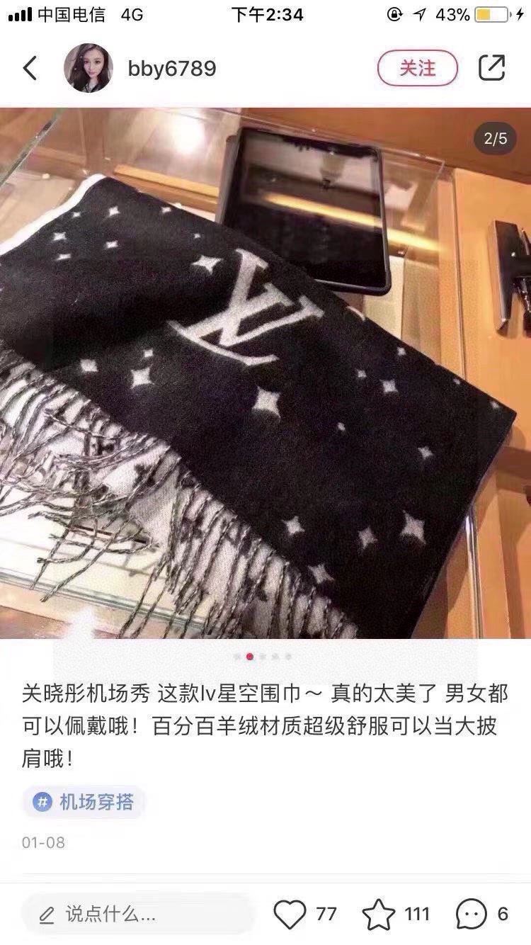 Louis Vuitton Scarf